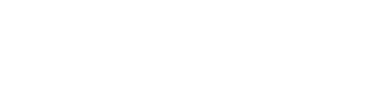 Intercom Pioneer 25