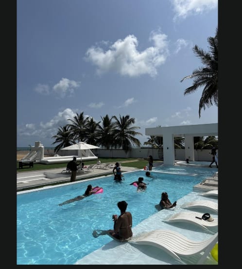 A sunny pool surrounded by palm trees