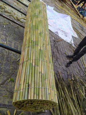 Bambu Hasır
