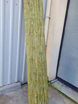 Bambu Hasır