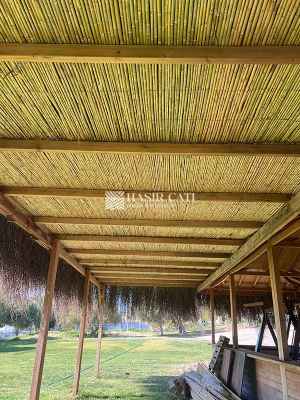 Bambu Kamış