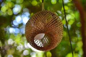 Rattan Avizeler