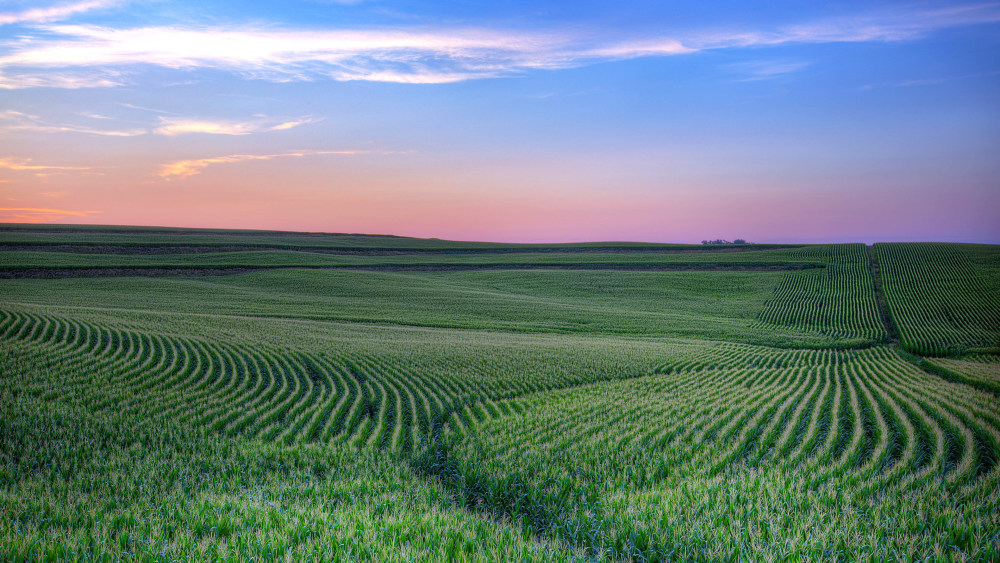 ISO 14001 and ISO 50001: indicators on Environment and energy