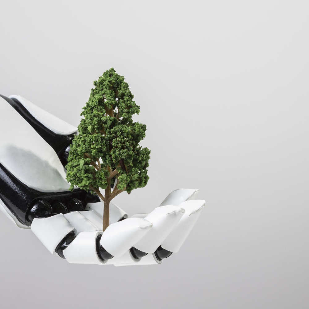 Green Transformation and Competitive Advantage for Businesses