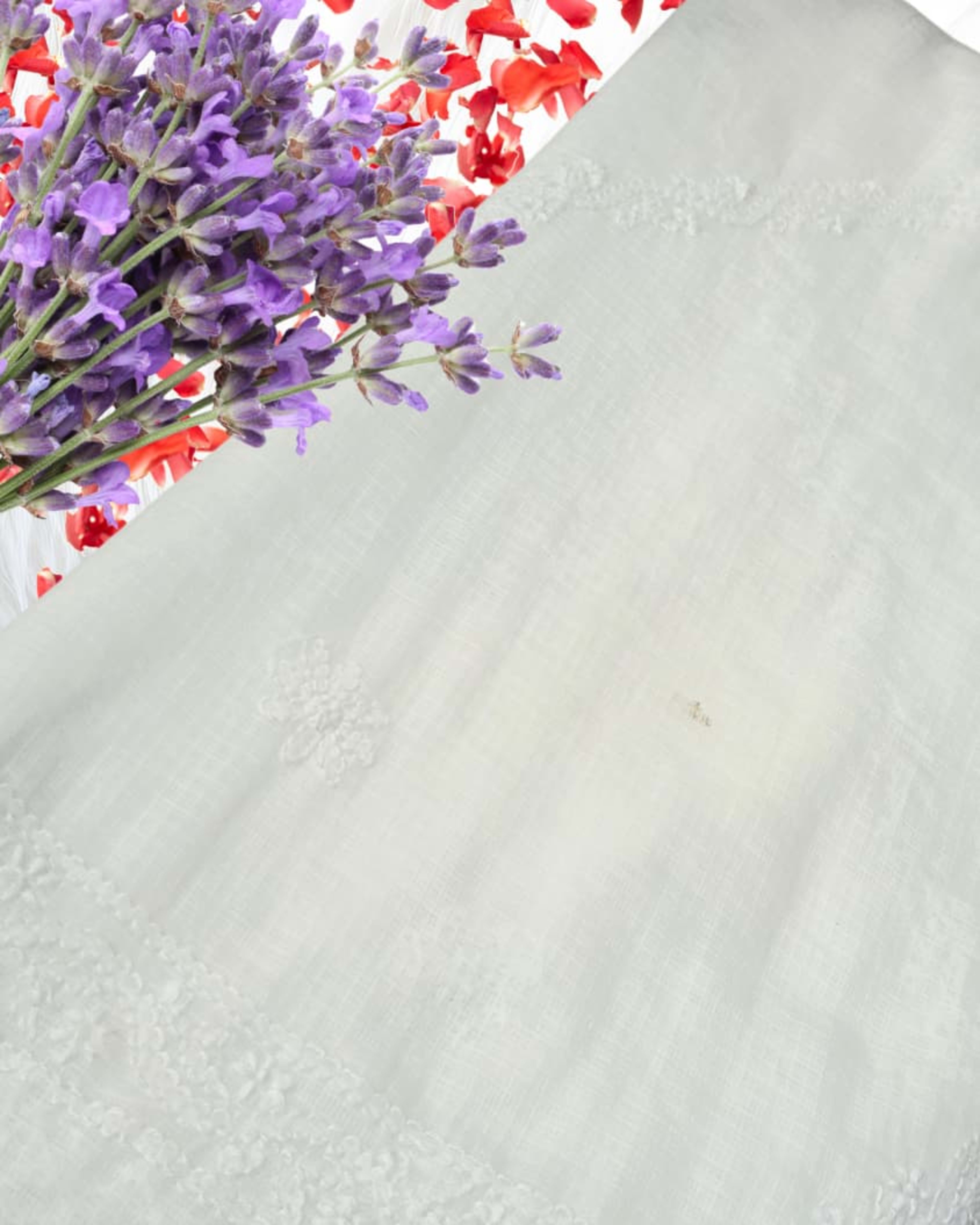 CHIKANKARI Dupatta Collection Lucknowi Chikankari - Full view 5