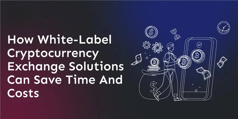 how-white-label-crypto-exchanges-save-time-and-money