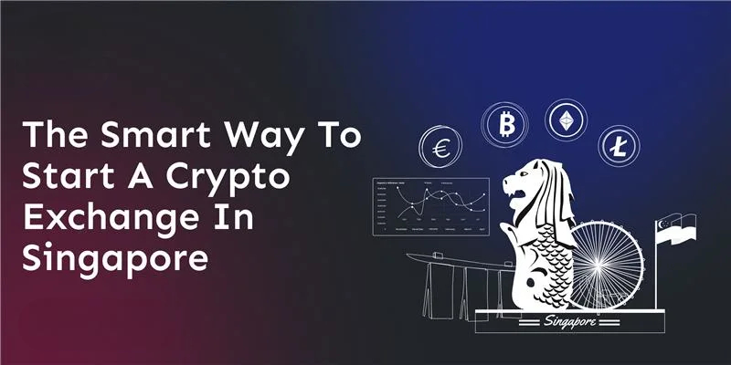 singapore-based-crypto-exchange-development-for-startups