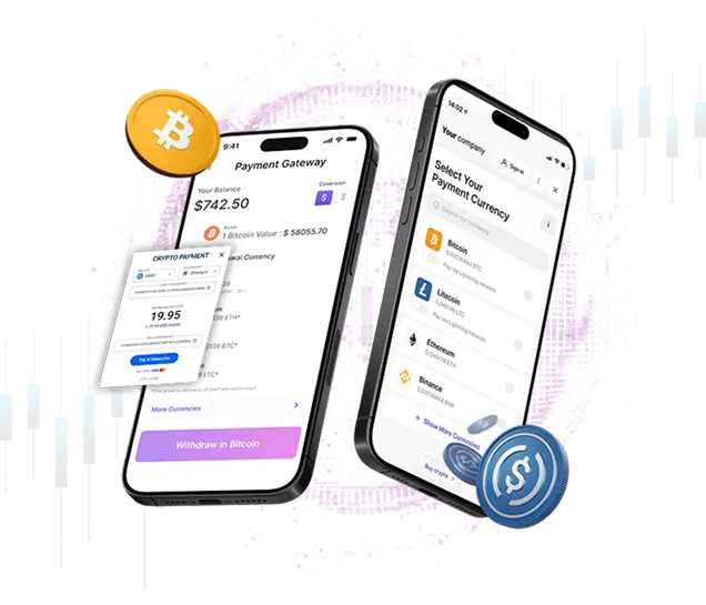 Cryptocurrency Payment Gateway Development Company