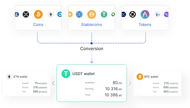 Digital Payment Solutions