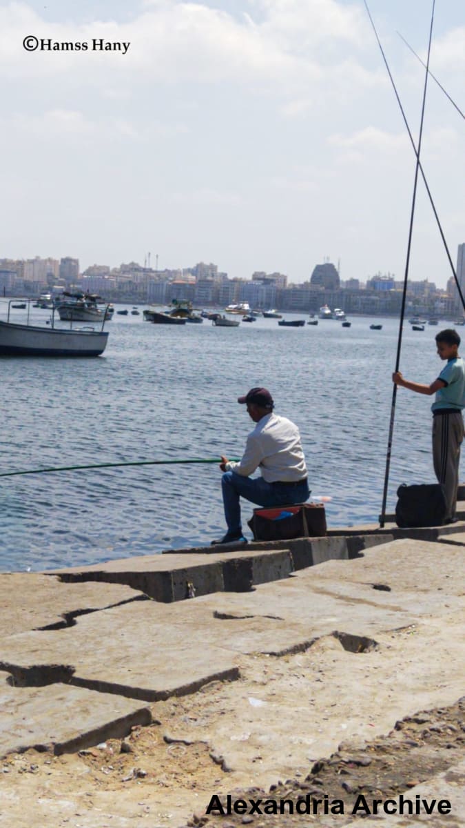 صيادين اسكندرية