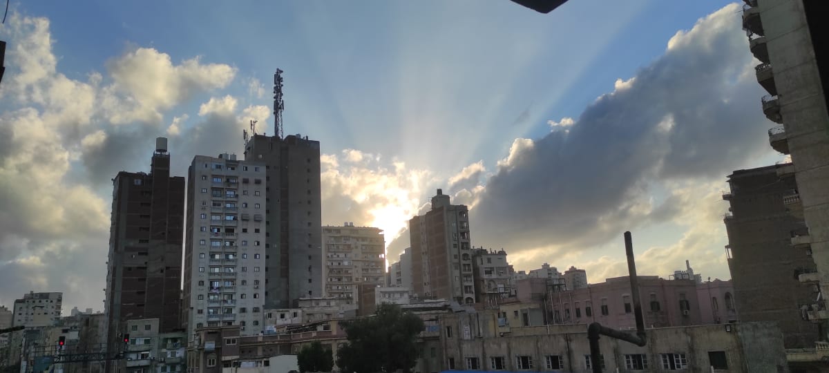 منشور بقلم Rowan Zeid