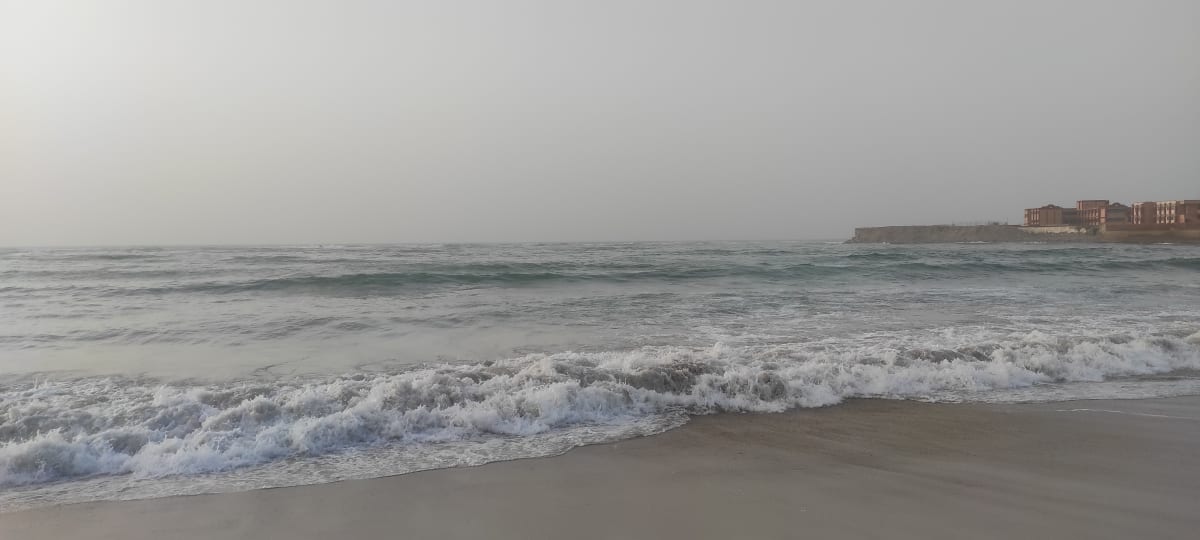 منشور بقلم Rowan Zeid