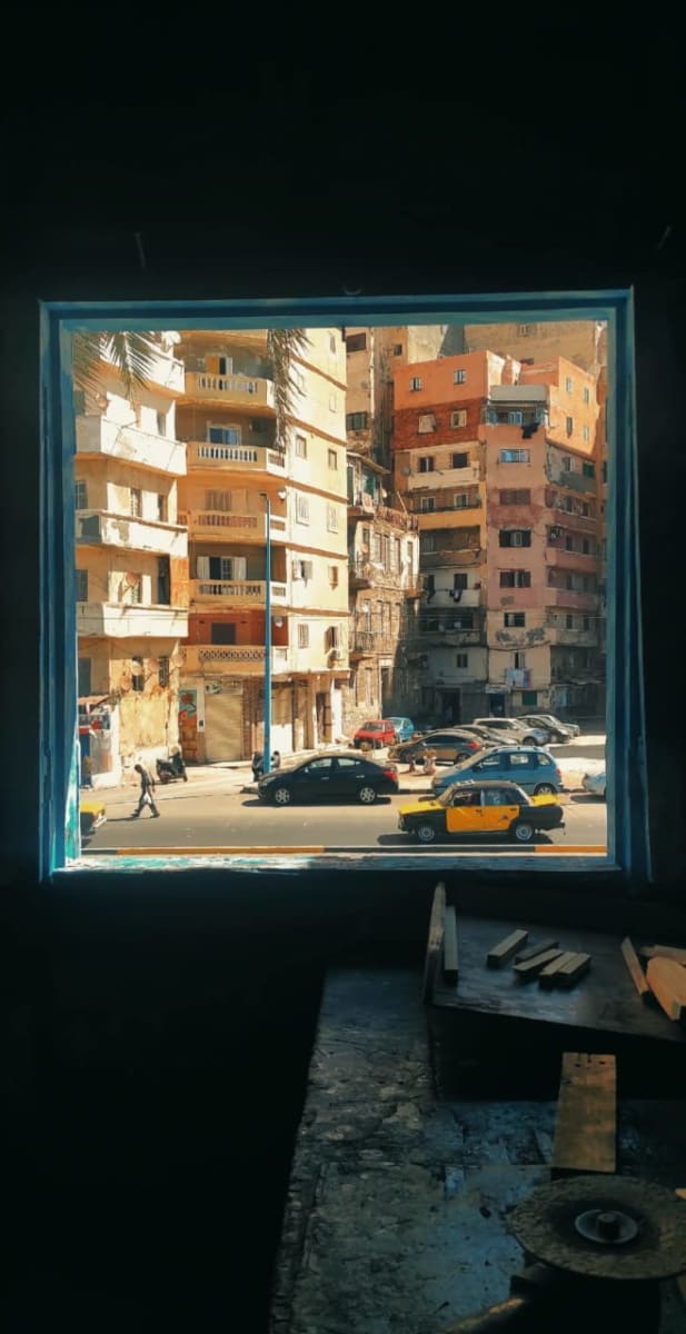 منشور بقلم Rowan Zeid