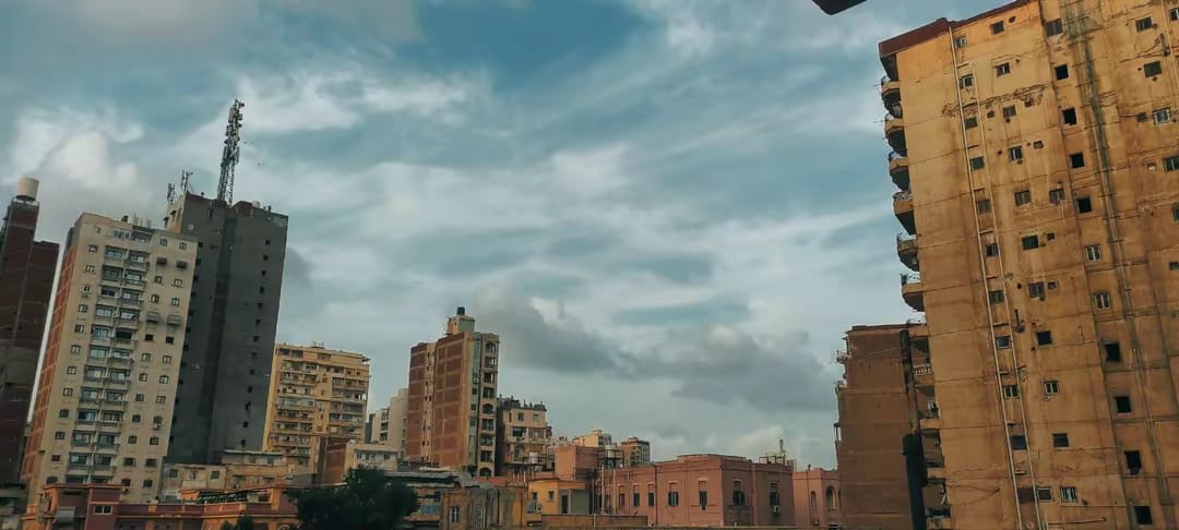 منشور بقلم Rowan Zeid