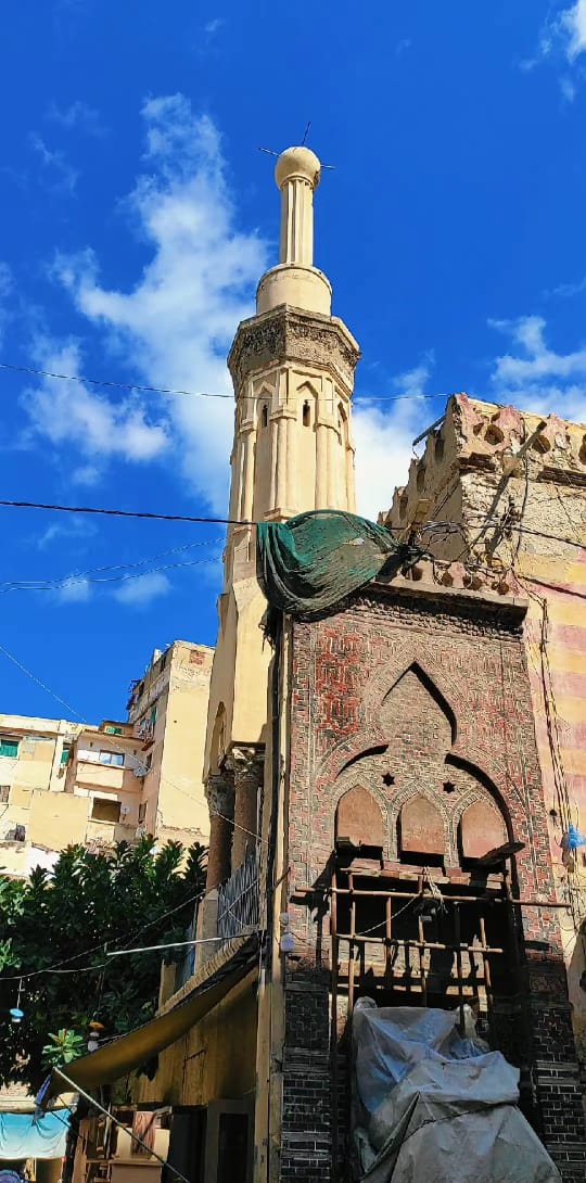 منشور بقلم Rowan Zeid