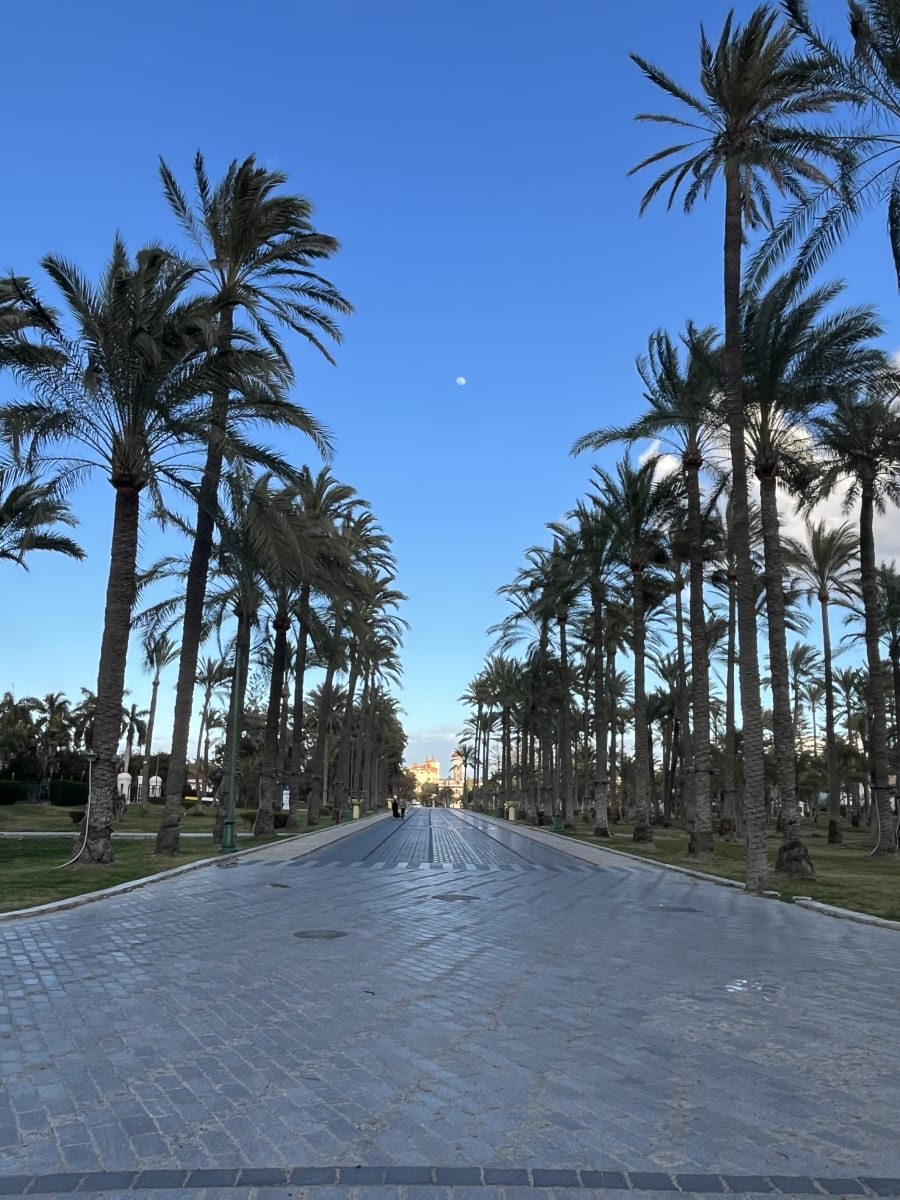 منشور بقلم Dalia