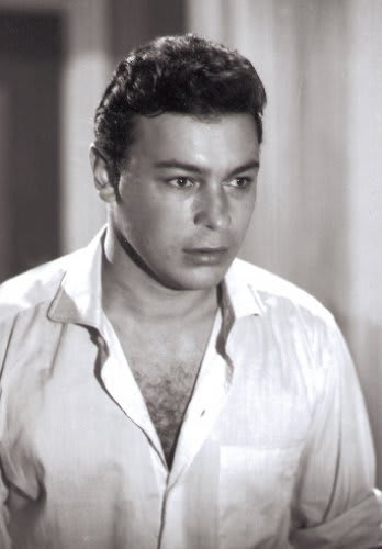 The Actor Ahmed Ramzy