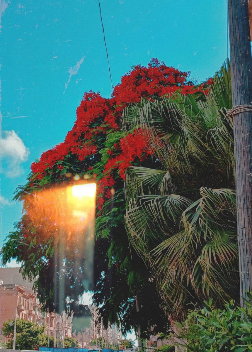 A trip down memory's lane.