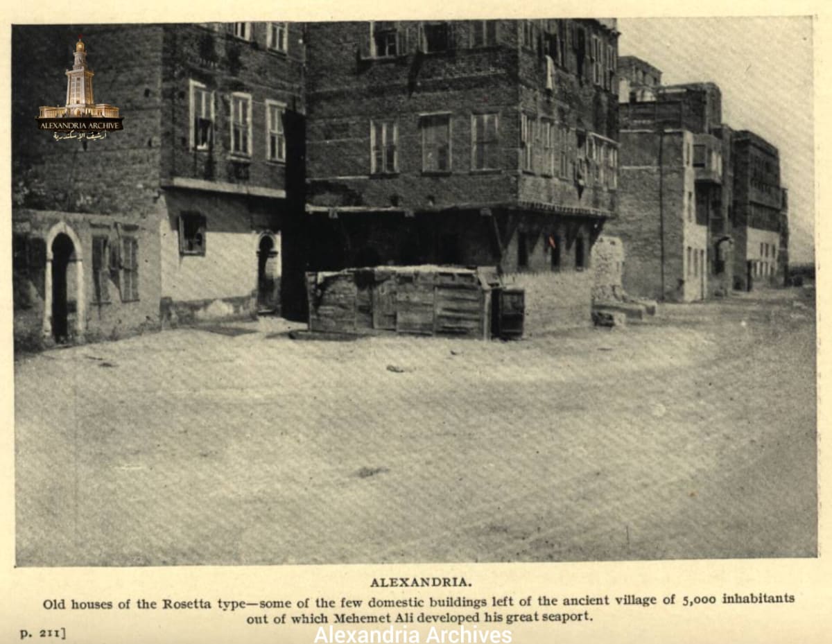 Features of Alexandria 