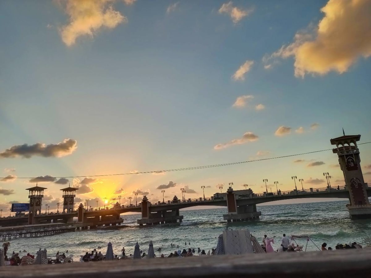 منشور بقلم Hala Hamdy
