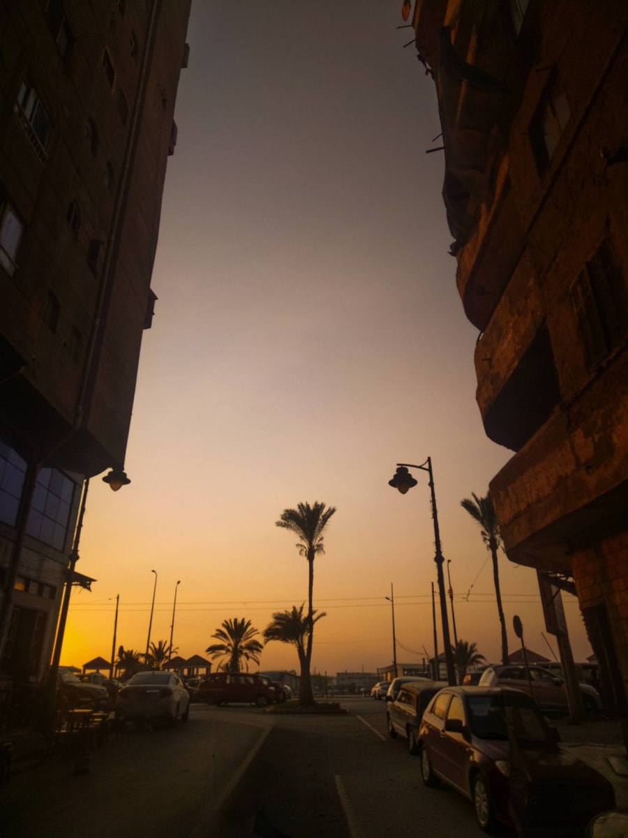 منشور بقلم Hamss Hany