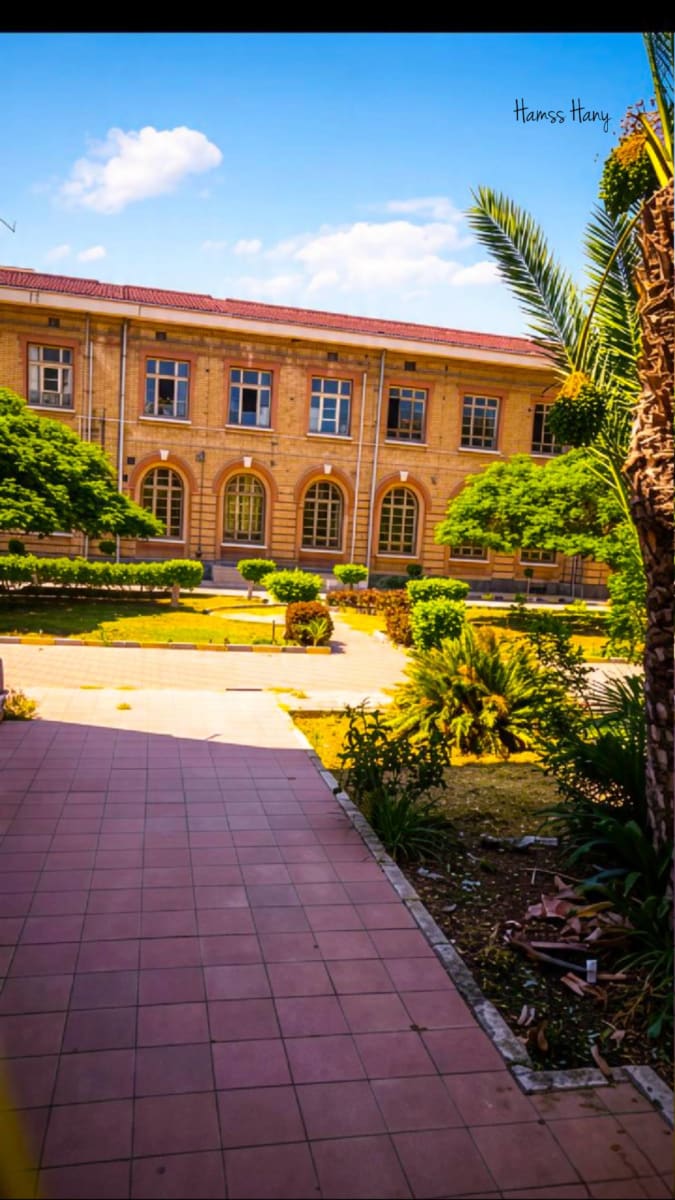 منشور بقلم Hamss Hany