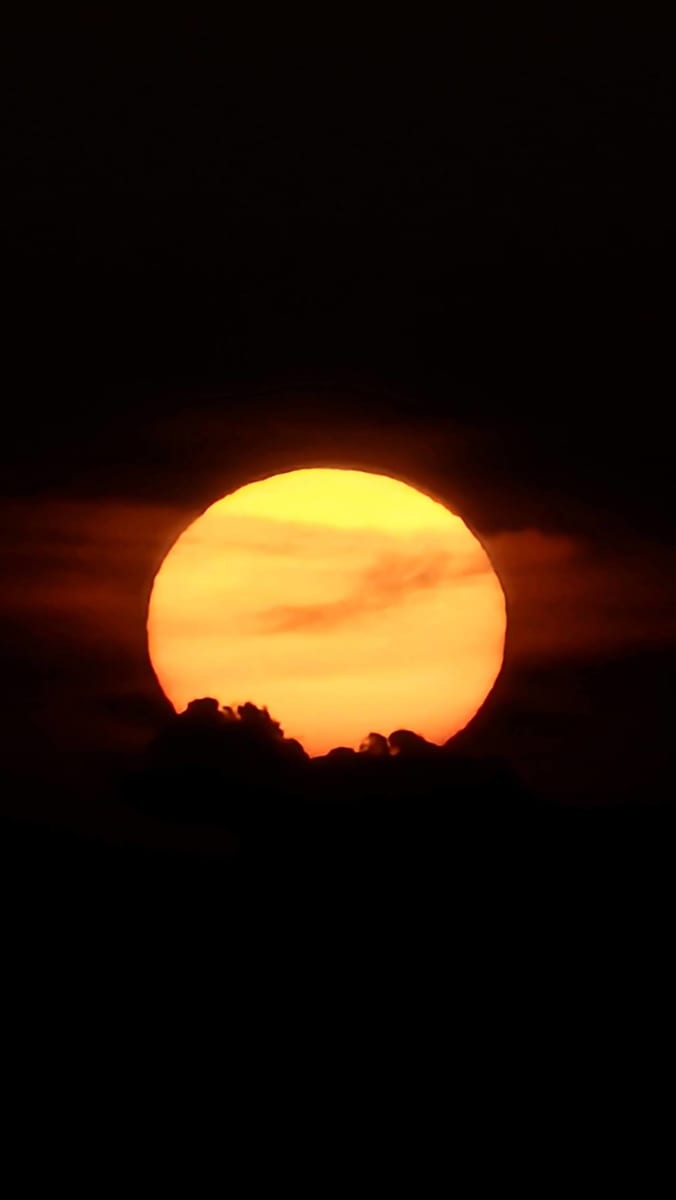 منشور بقلم Doaa Photography 