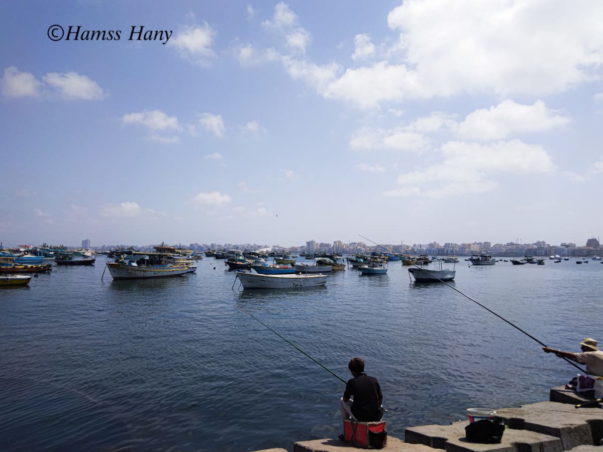 منشور بقلم Hamss Hany
