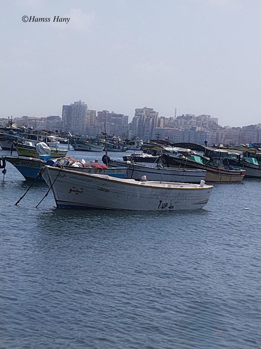 "كل مركب شايلة حكاية." ⚓