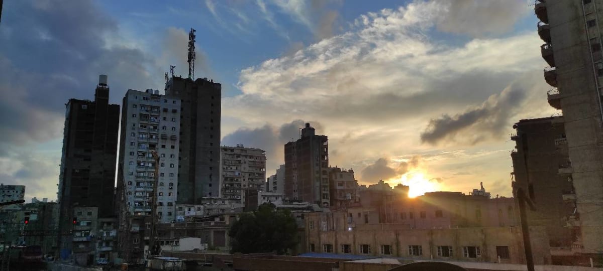 منشور بقلم Rowan Zeid