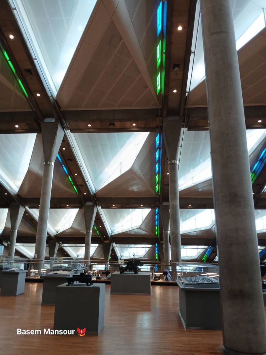 Alexandria Library 💙✨🐦‍🔥
