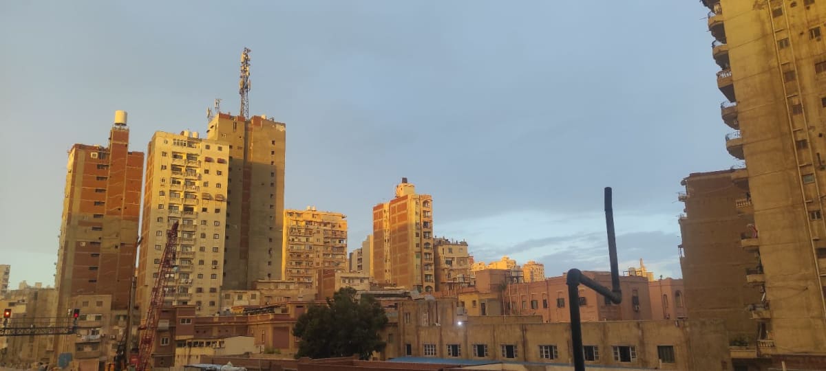 منشور بقلم Rowan Zeid