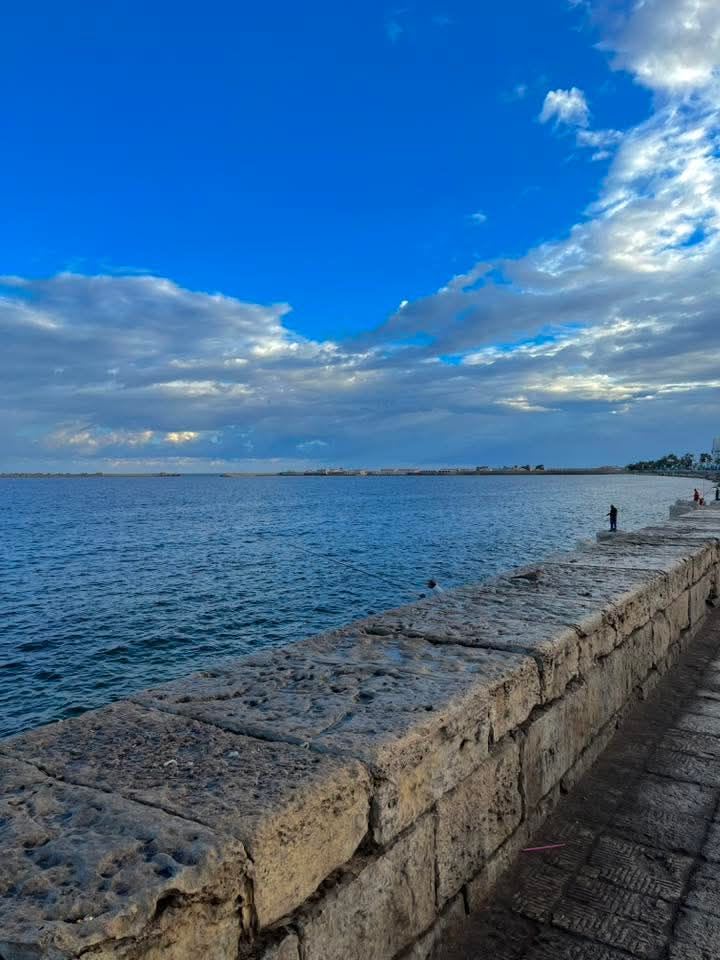 منشور بقلم safy Khalil — صورة 2 من 2