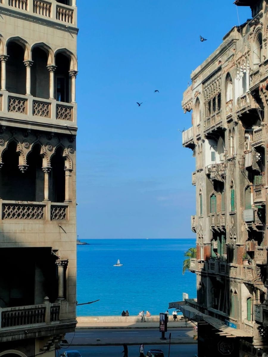 منشور بقلم safy Khalil — صورة 2 من 5
