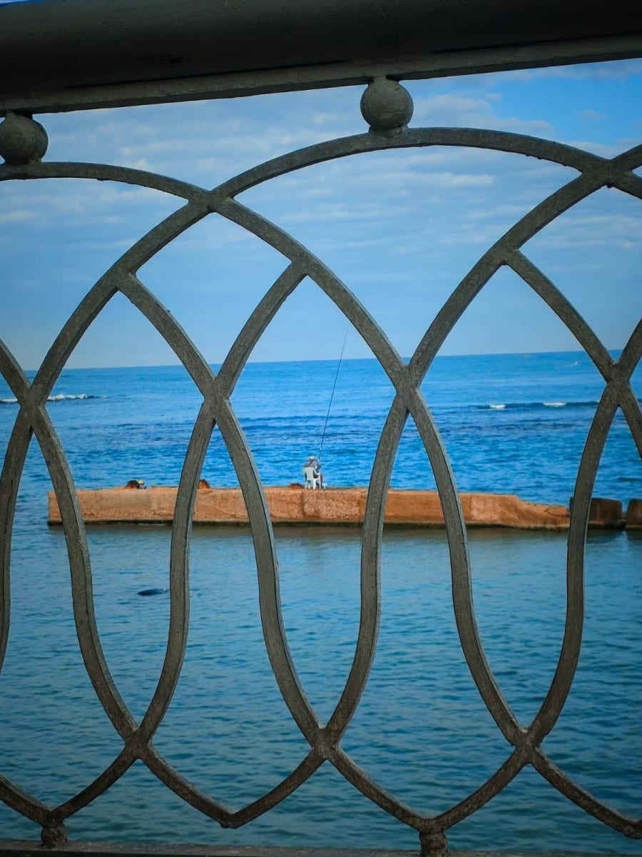 منشور بقلم safy Khalil — صورة 3 من 5