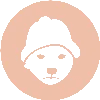 dogwifhat (WIF)