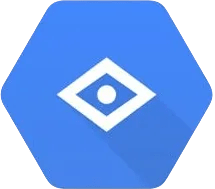 Google Vision