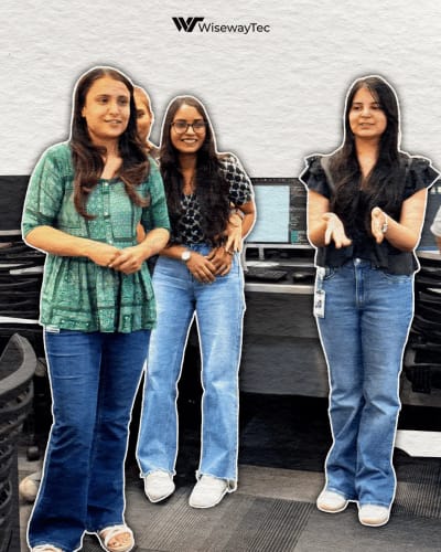 wisewaytec Team