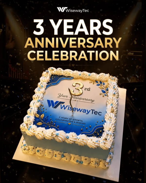 wisewaytec Team