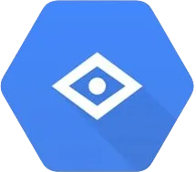 Google Vision