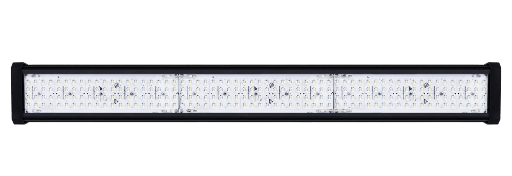 VIRTUS PRO 5
