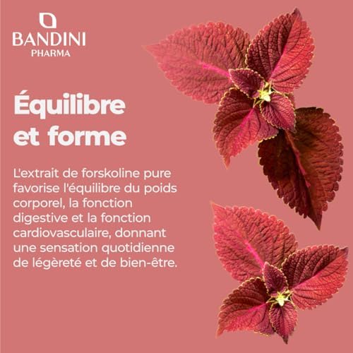 Vue 3 de Bandini Forskoline Mg Gelules