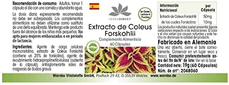 Vue 4 de Forskoline Avec Mg Dextrait