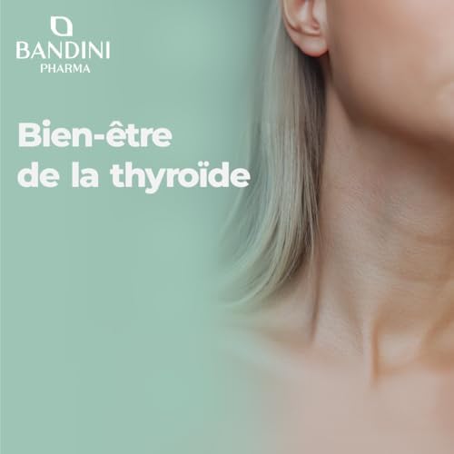 Vue 2 de Bandini Fucus Algue Varech