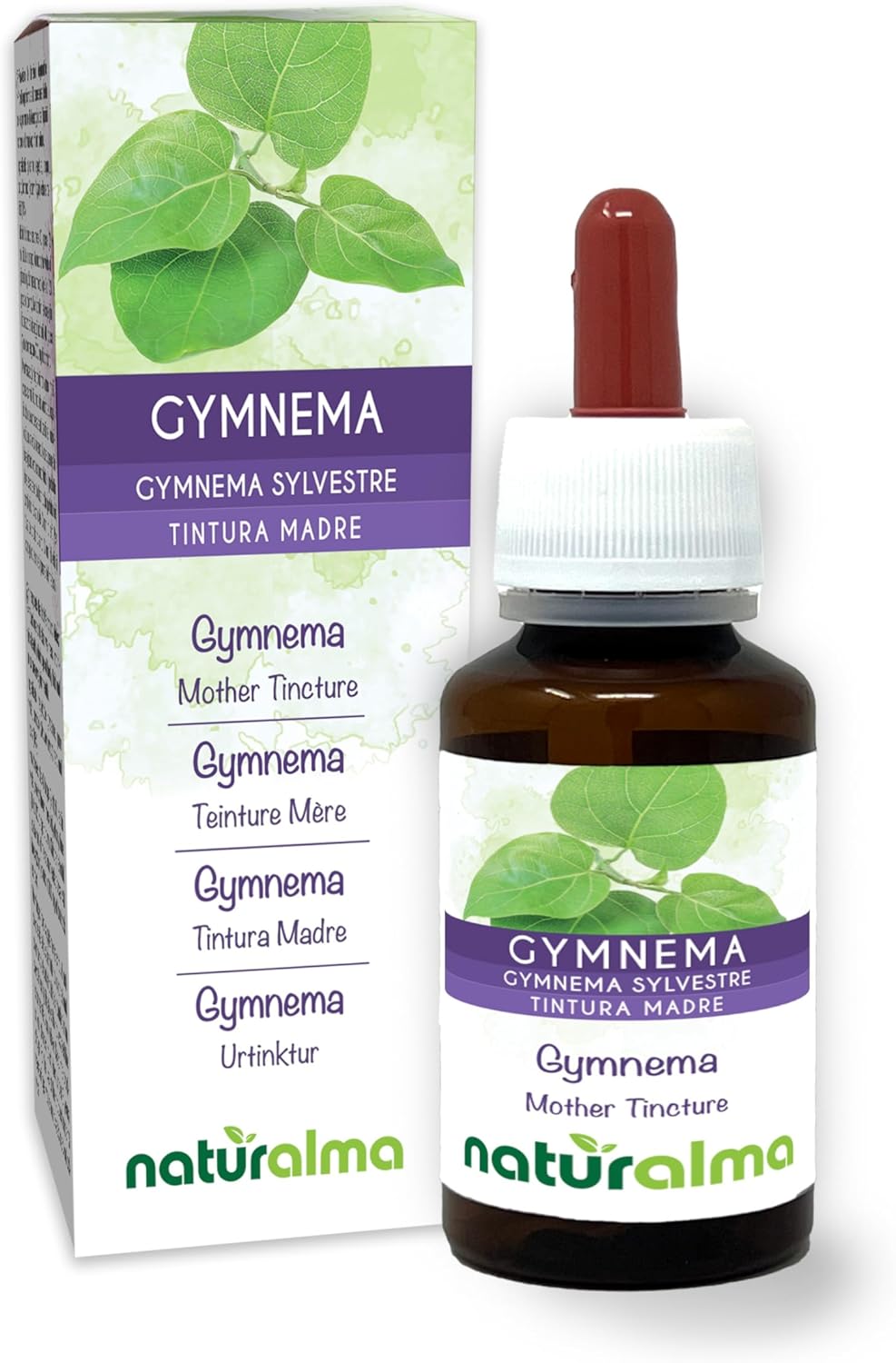 Gymnema Gymnema Sylvestre Ou