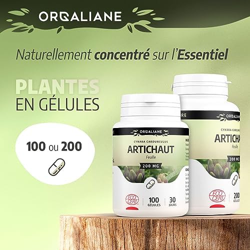Vue 4 de Artichaut Mg Gelules Certifie