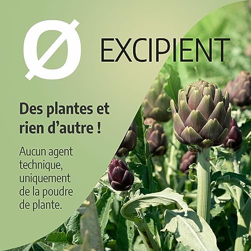 Vue 7 de Artichaut Mg Gelules Certifie