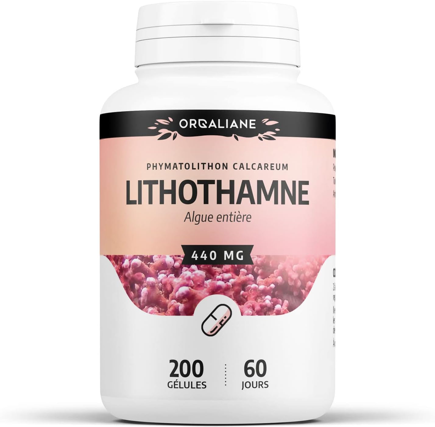Lithotame Lithothamne Gelules Mg
