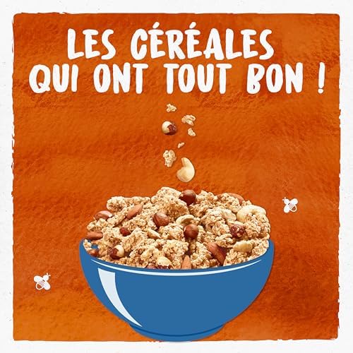Vue 5 de Bjorg Cereales Bio Croustillant