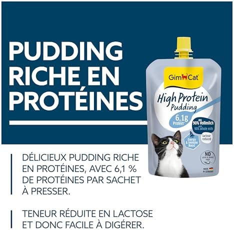 Vue 3 de Gimcat Pudding Haute
